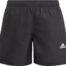 adidas_yb_bos_shorts_cow_hide_syrah_b_gq1063_000_1160.jpg
