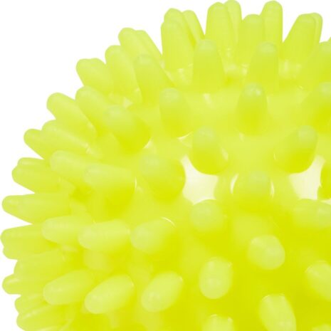 energetics_noppenball_knobbed_balls_pair_107305_172_2820.jpg energetics_noppenball_knobbed_balls_pair_107305_172_2820.jpg