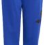 adidas_j_bl_ft_pt_280_cow_hide_syrah_jd2093_000_1739.jpg