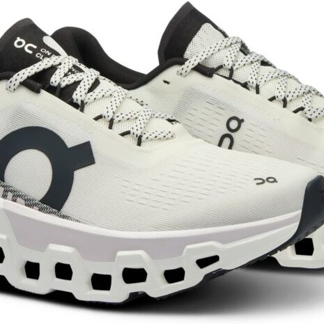 on_cloudmster_2_white_frost_3we1011_0664_4140.jpg on_cloudmster_2_white_frost_3we1011_0664_4140.jpg