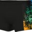 arena_men_s_vibrant_swim_short_blac_008938_550_3129.jpg