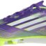 adidas_f50_club_fg_mg_cow_hide_syrah_ji0043_000_9136.jpg