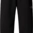 the_north_face_b_reflective_logo_jogger_tnf_b_nf0a8eau_jk3_1680.jpg