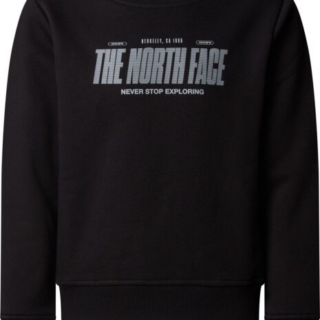 the_north_face_b_reflective_logo_relaxed_crew_nf0a8eat_jk3_1176.jpg
